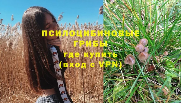 PSILOCYBIN Медногорск