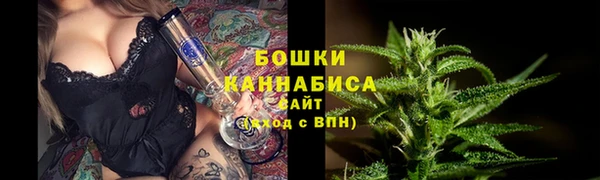PSILOCYBIN Медногорск