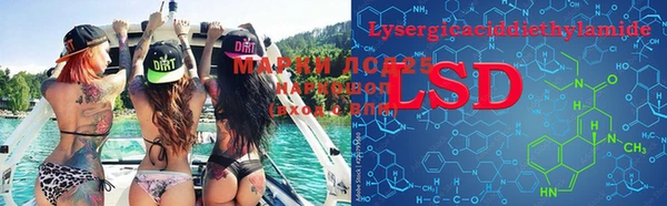 PSILOCYBIN Мегион