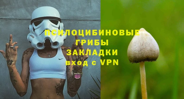PSILOCYBIN Мегион