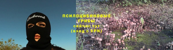 PSILOCYBIN Мегион